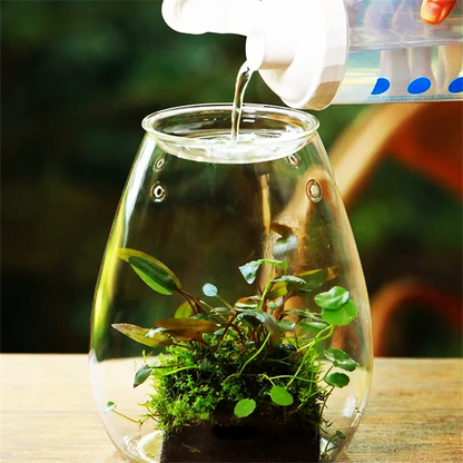 Micro Landscape Glass Bottle – Covered Terrarium for Moss & Succulents | Floressa