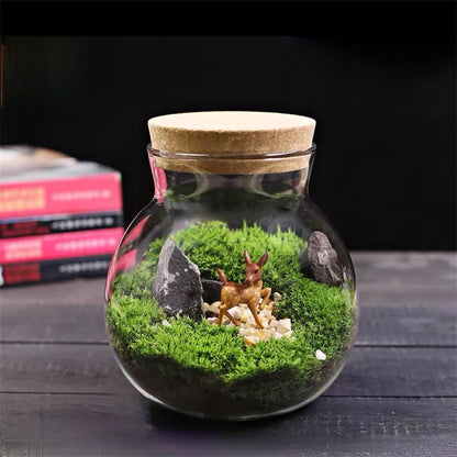 Cork-Top Glass Terrarium – For Moss, Bryophytes & Mini Bonsai | Floressa