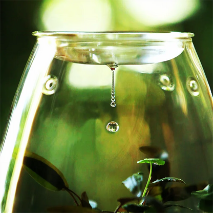 Micro Landscape Glass Bottle – Covered Terrarium for Moss & Succulents | Floressa