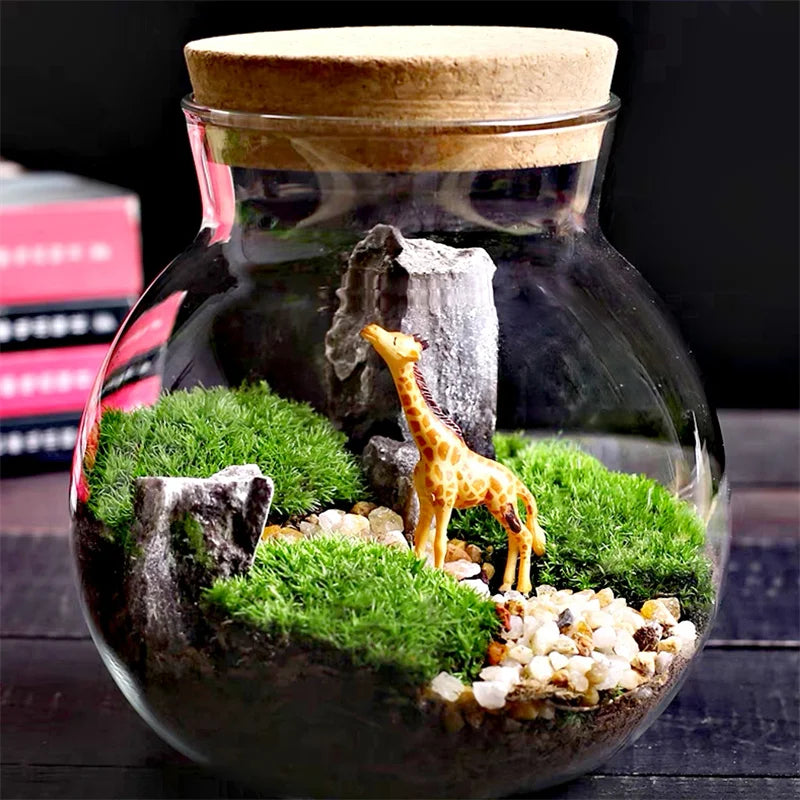 Cork-Top Glass Terrarium – For Moss, Bryophytes & Mini Bonsai | Floressa