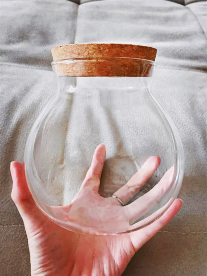 Cork-Top Glass Terrarium – For Moss, Bryophytes & Mini Bonsai | Floressa