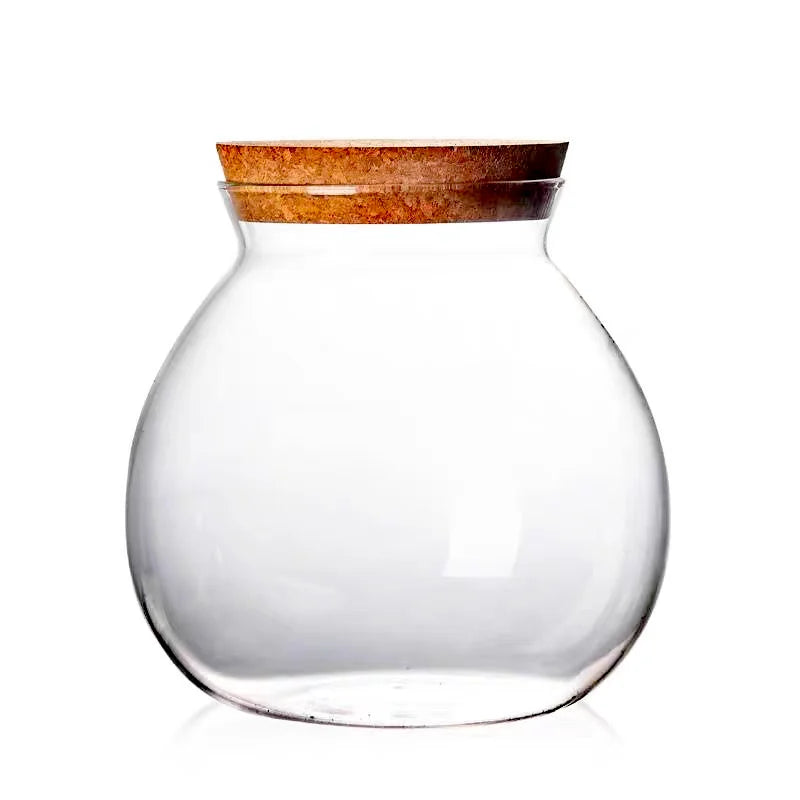 Cork-Top Glass Terrarium – For Moss, Bryophytes & Mini Bonsai | Floressa
