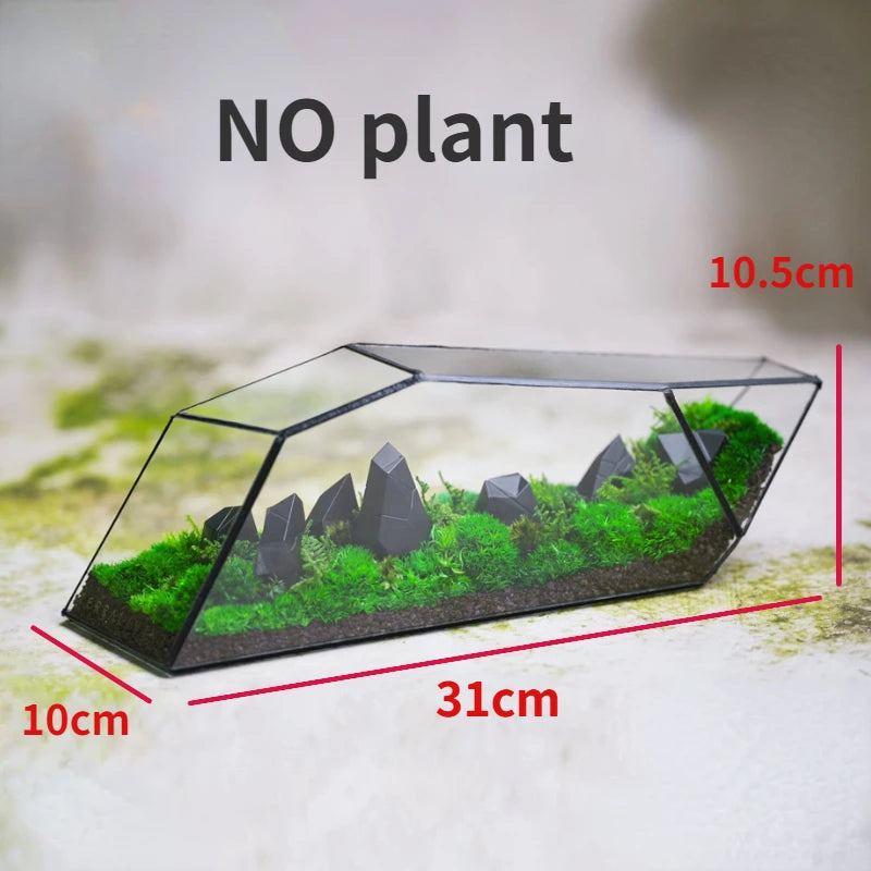 Rainforest-Style Glass Terrarium – Miniature Moss & Succulent Garden | Floressa