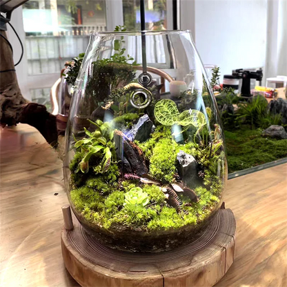 Micro Landscape Glass Bottle – Covered Terrarium for Moss & Succulents | Floressa