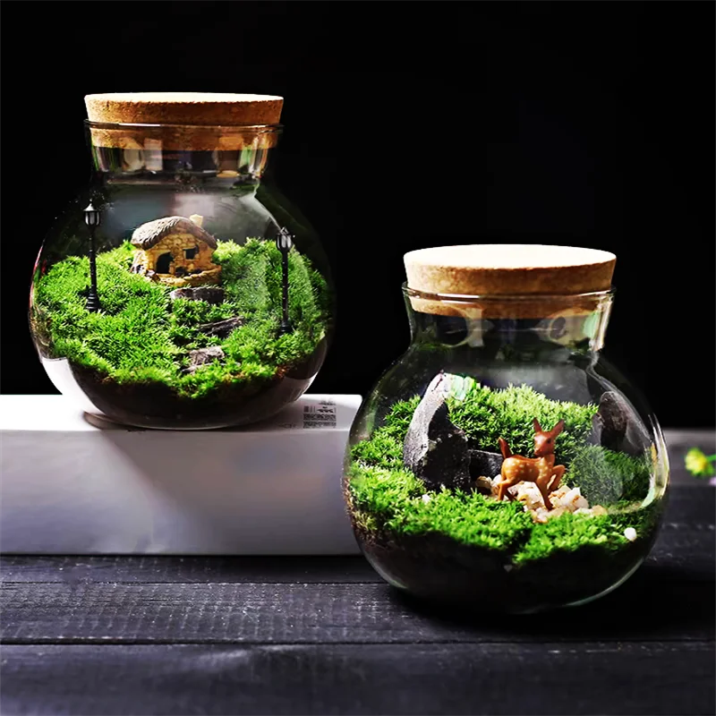Cork-Top Glass Terrarium – For Moss, Bryophytes & Mini Bonsai | Floressa