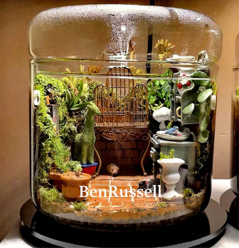 Glass Landscape Terrarium Vase – With Dome Cover | Floressa