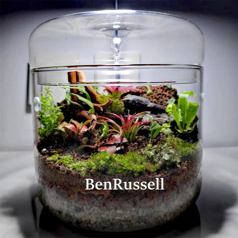 Glass Landscape Terrarium Vase – With Dome Cover | Floressa