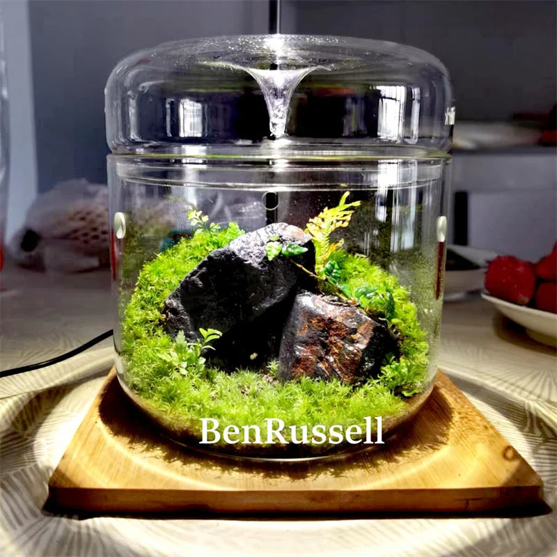 Glass Landscape Terrarium Vase – With Dome Cover | Floressa