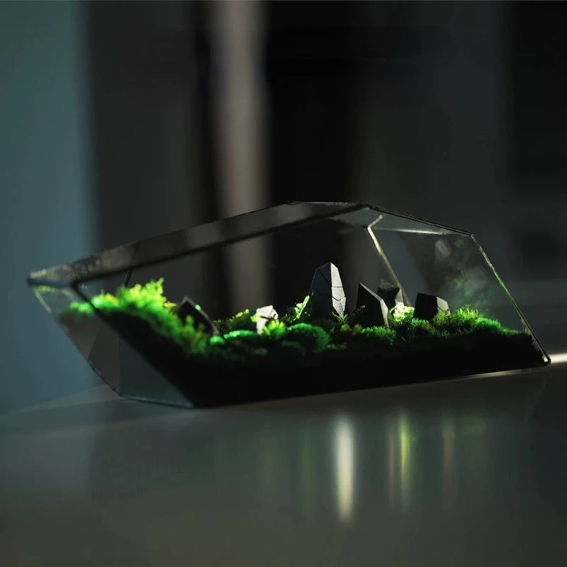 Rainforest-Style Glass Terrarium – Miniature Moss & Succulent Garden | Floressa