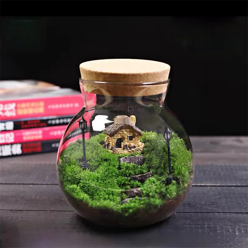 Cork-Top Glass Terrarium – For Moss, Bryophytes & Mini Bonsai | Floressa