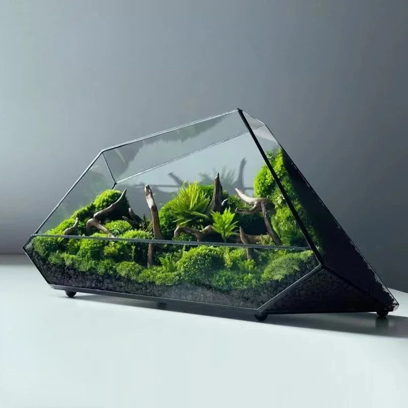 Rainforest-Style Glass Terrarium – Miniature Moss & Succulent Garden | Floressa